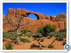 Skyline Arch just before tree falls_1822