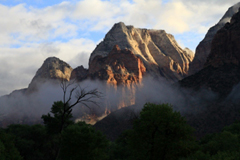 Zion National Park in the early morning